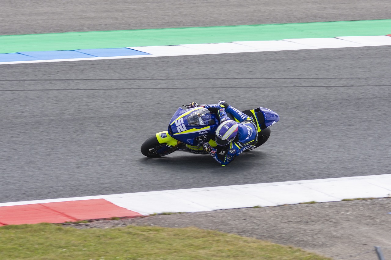 冷静和智慧 冷静和智慧